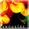 Free Avatar Venustas